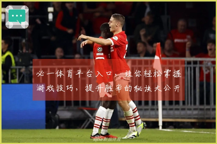 必一体育平台入口，让你轻松掌握游戏技巧，提升胜率的秘诀大公开