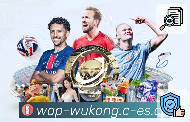 观赛链路功能展示